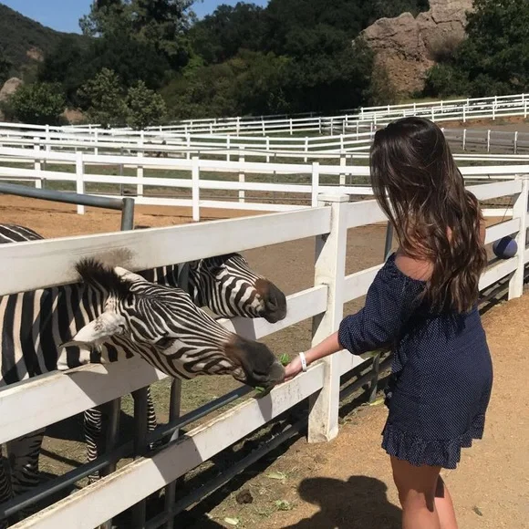 Off Shoulder Ruffle Dress - Picture 5 of 6